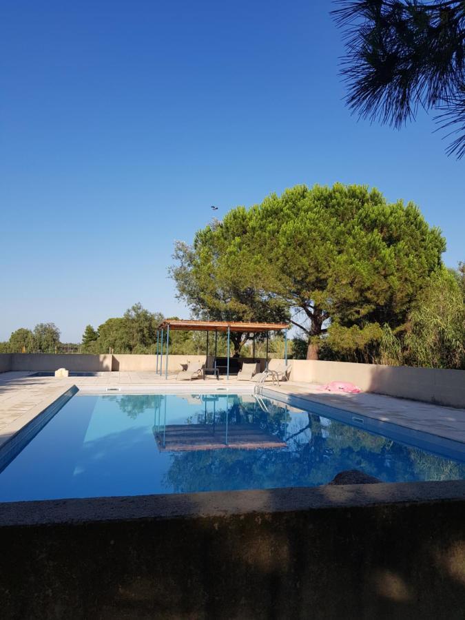 Vacances En Camargue Proche De La Mer Climatise Aigues-Mortes Exteriör bild