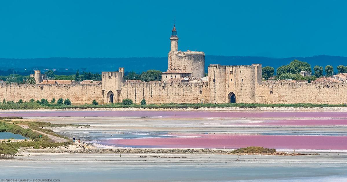 Vacances En Camargue Proche De La Mer Climatise Aigues-Mortes Exteriör bild